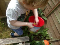 Joshua collecting Easter eggs!