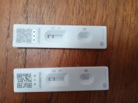 Sign of the times – our negative tests before we went out to ring the quarter-peal!