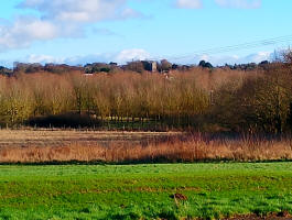 Bromeswell church tower in January.
