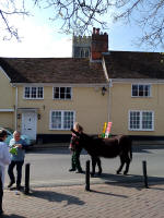The donkey on Market Hill in Woodbridge.
