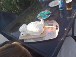 Josh's unusual birthday cake.