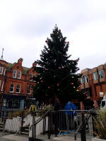 Christmas tree on the Cornhill.