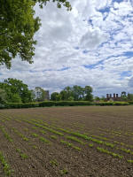 The walk from Wickham Skeith church to the Village Hall (taken by Ruth Munnings).