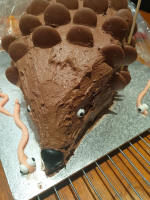 Josh's hedgehog birthday cake made by Ruthie!