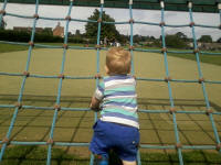 Alfie enjoying Kingston Fields. Alfie enjoying Kingston Fields.
