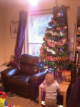 Alfie admiring our new Christmas Tree at home. Alfie admiring our new Christmas Tree at home.