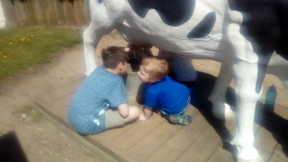 Milking plastic cows.