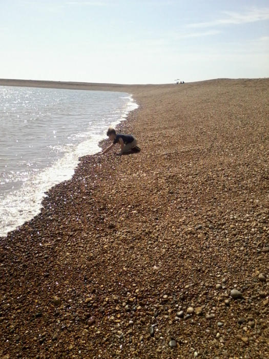 Alfie & Mason at Shingle Street.