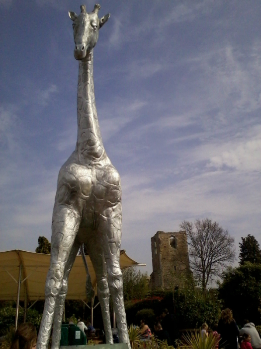 The ruined church of All Saints Stanway on the grounds of Colchester Zoo, next to a silver giraffe of course.