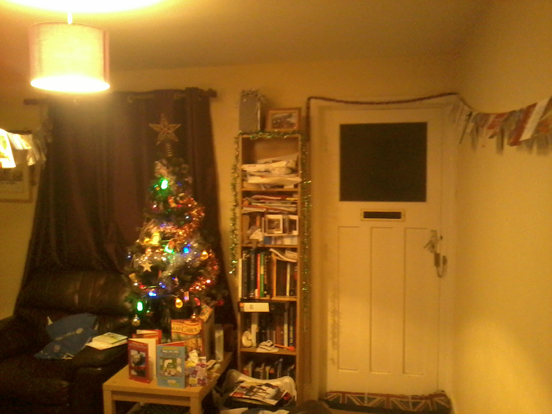 Our Christmas decorations on twelfth night.