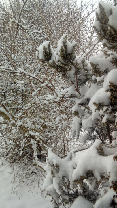 One of the views out of our window today!