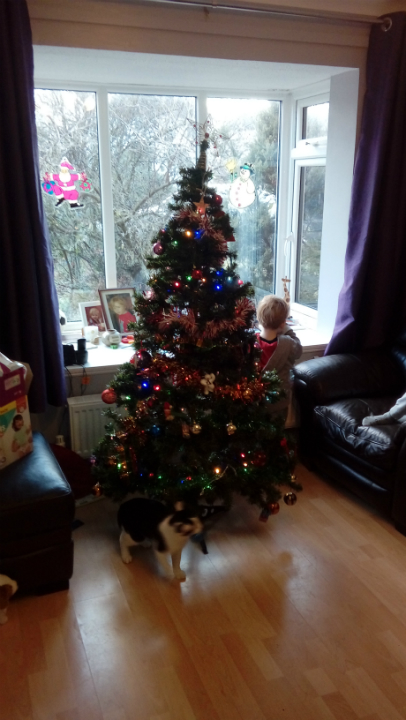 Christmas Tree up and decorated!