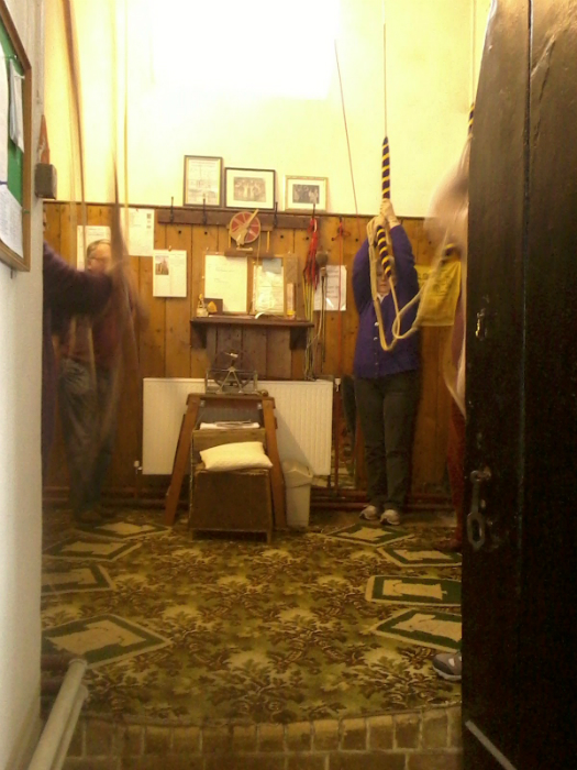 Ringing at Pakefield on Pettistree outing.