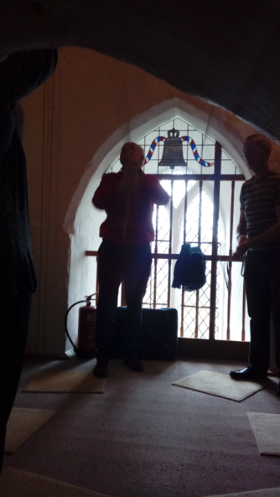 Ringing at Metfield on Pettistree Outing.