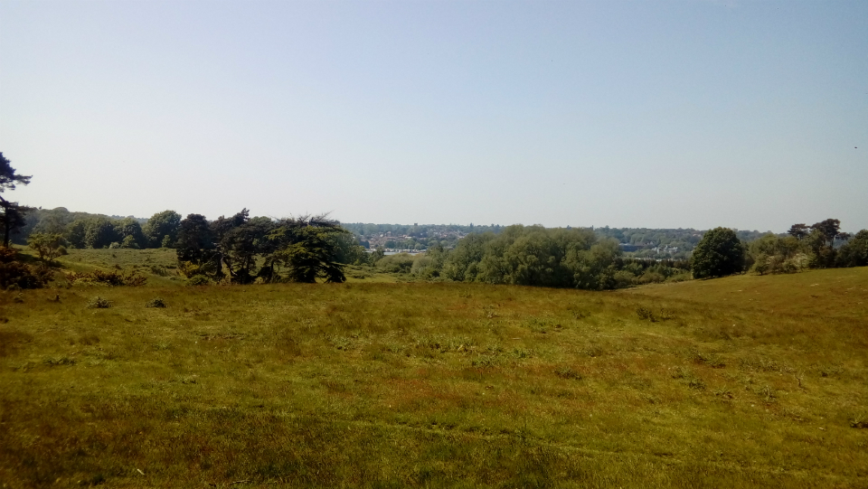 Woodbridge from Sutton Hoo.