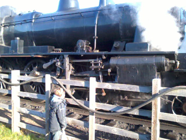 Mason watches up close.