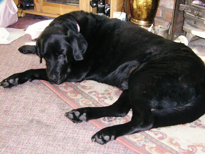 Max.