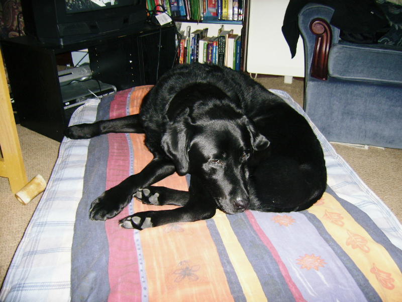 Max.